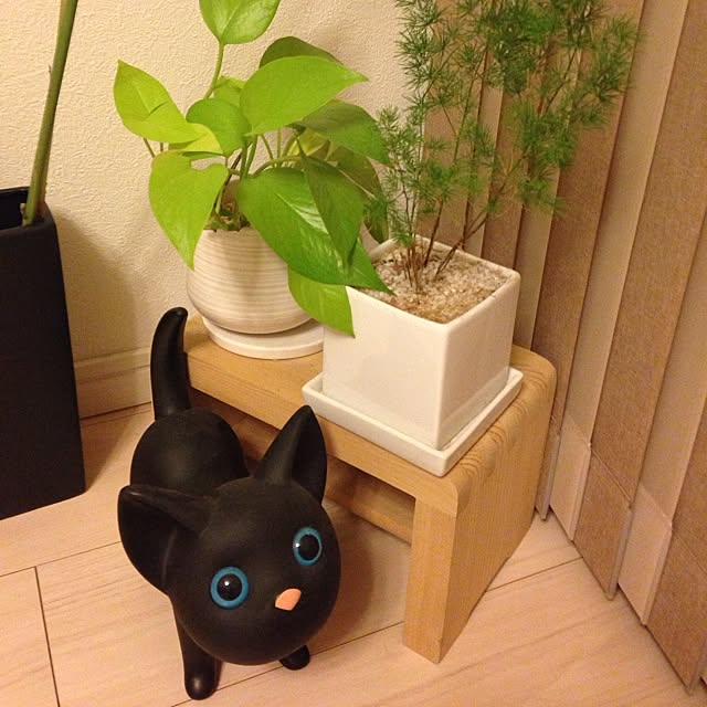 tomato999の-Katバンク　ブラックキャット（キャトバンク/黒猫の貯金箱）[※メール便不可]の家具・インテリア写真