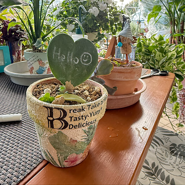 Aqettyさんの部屋