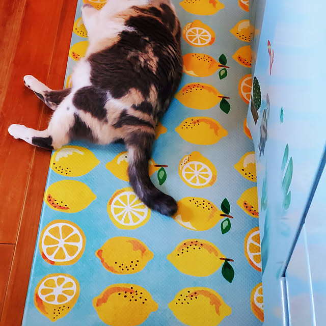 kumutanさんの実例写真