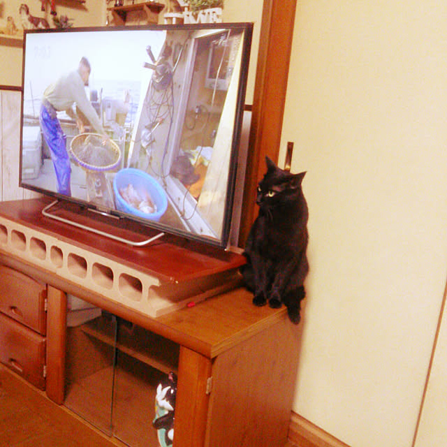 Tomopさんの実例写真