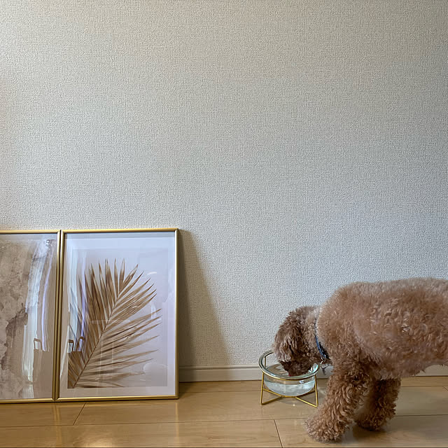 hagoromoさんの実例写真