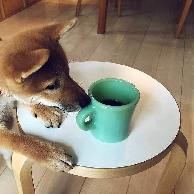 kutsusukiさんの実例写真
