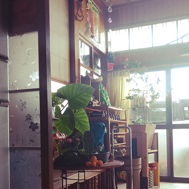 kikuさんの実例写真