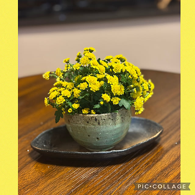 Smilkazuさんの部屋