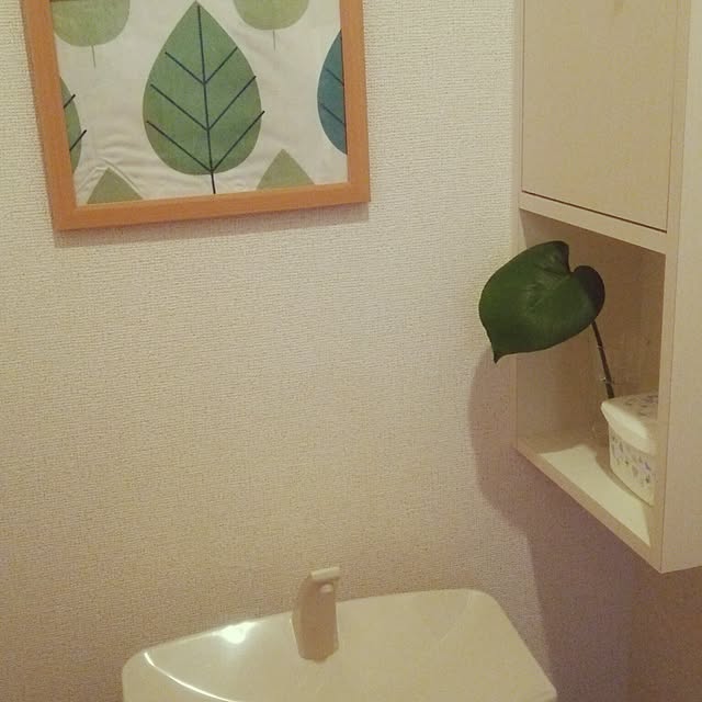 Hisaeさんの実例写真
