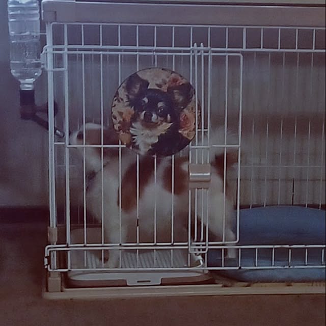 hiro-yさんの部屋