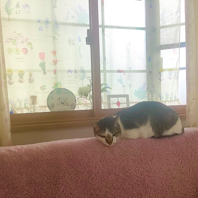 haruminさんの実例写真