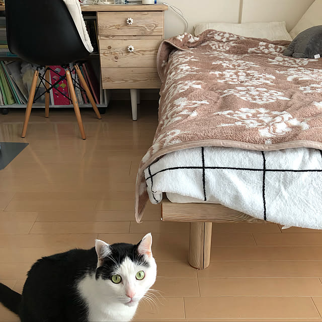 k.Iさんの実例写真