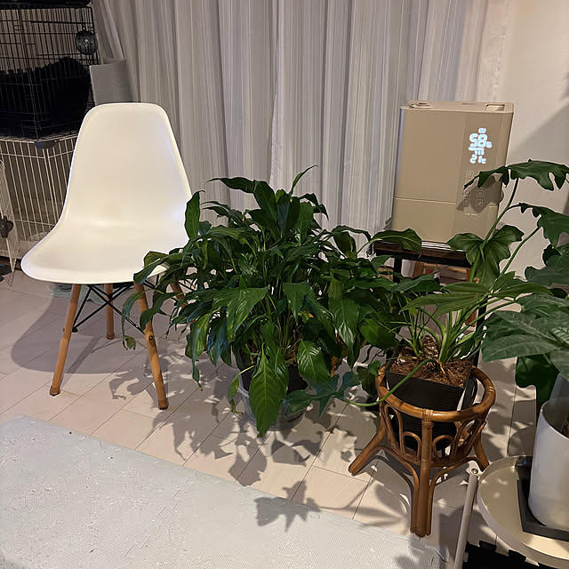 makouさんの実例写真