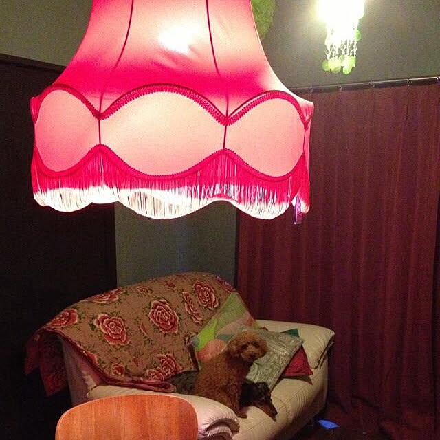 Kikoさんの実例写真