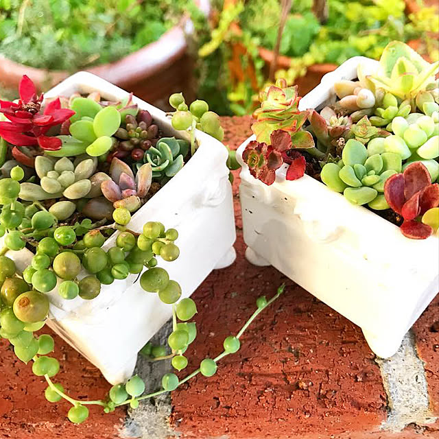 **yuu**さんの実例写真