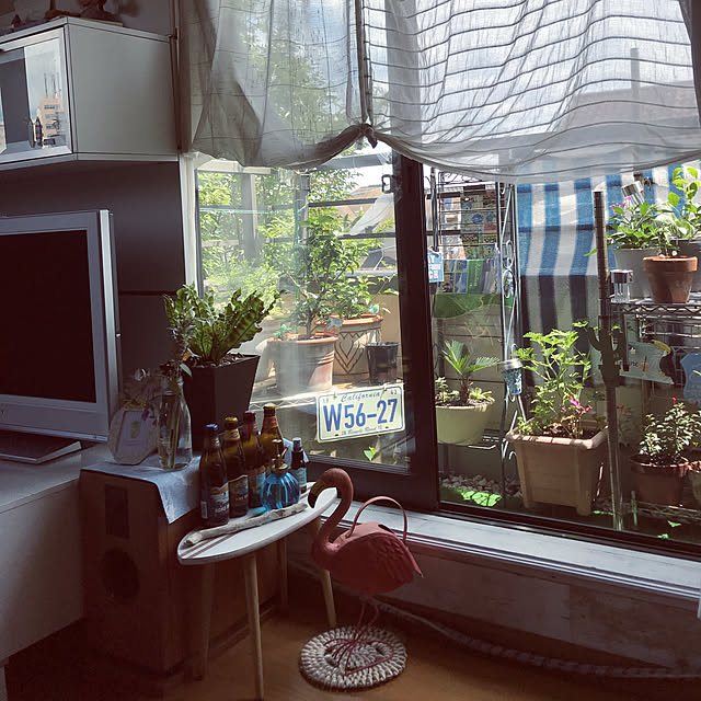 ariceさんの実例写真
