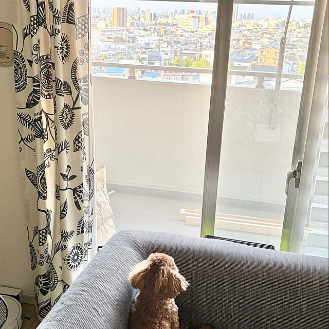 poohさんの実例写真