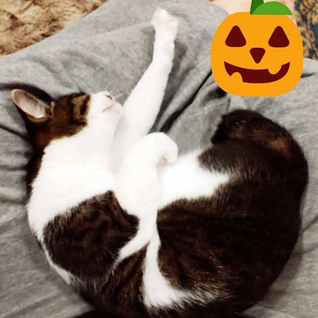nachuさんの実例写真