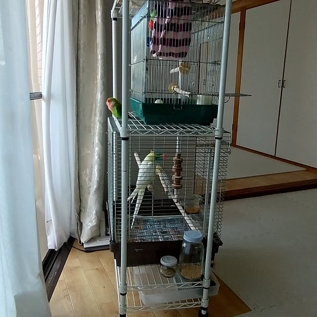 toratanさんの部屋