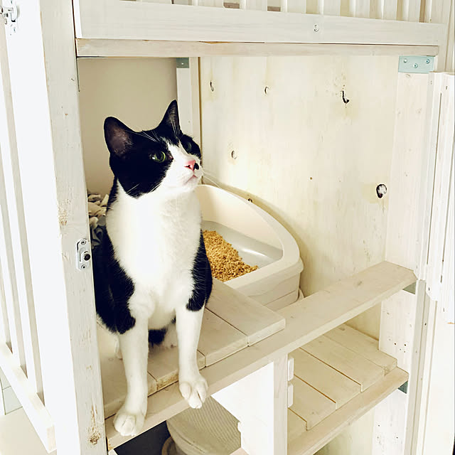 kanaさんの実例写真