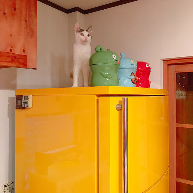 meさんの実例写真