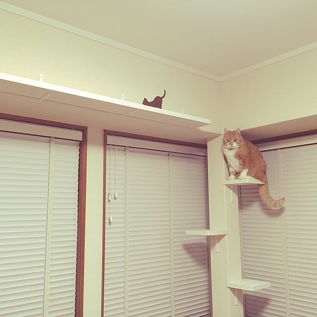 my_mayさんの実例写真