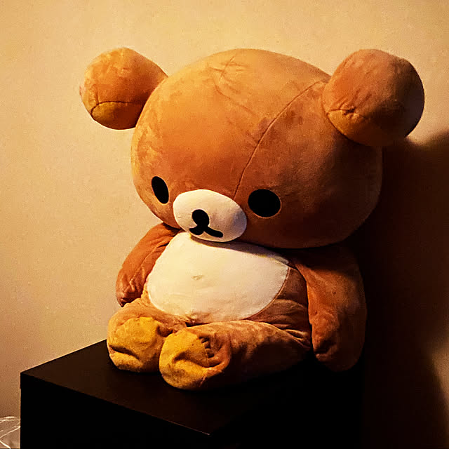 necomuraさんの実例写真