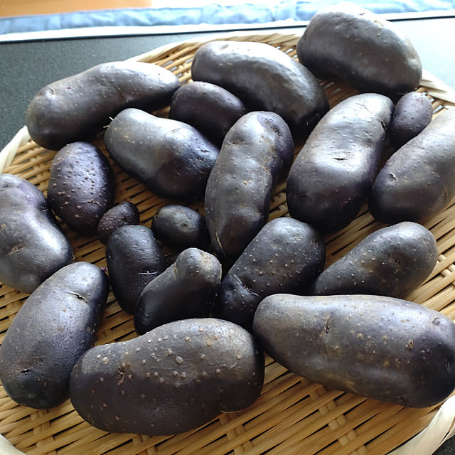ohanaさんの実例写真
