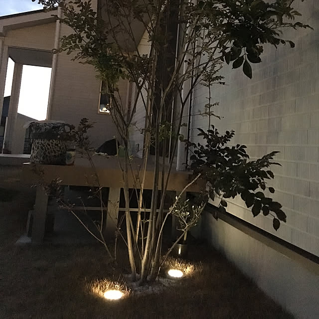 sachimさんの実例写真