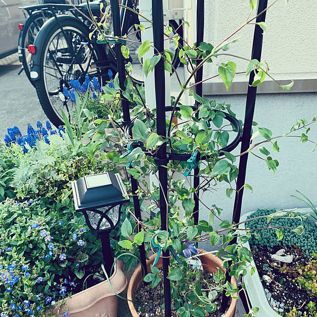 kikiさんの部屋