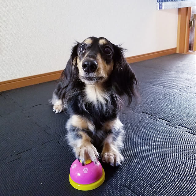 momozouさんの実例写真