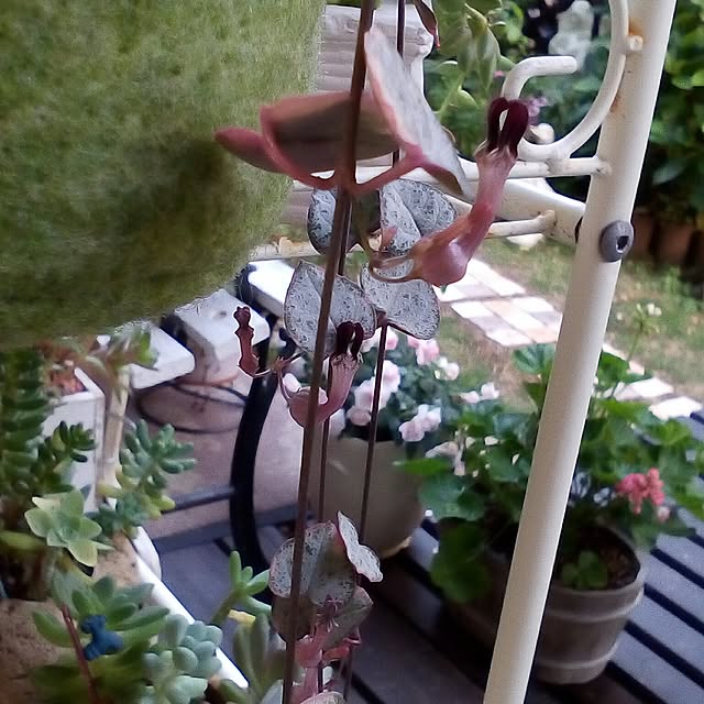 mariagardenさんの実例写真