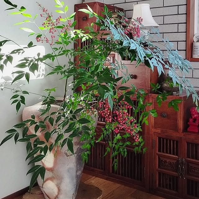 RENKAさんの実例写真