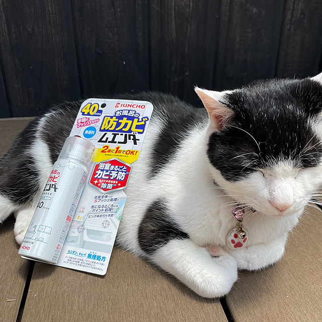 nekosamaさんの部屋