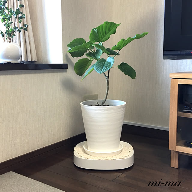mi-maさんの実例写真