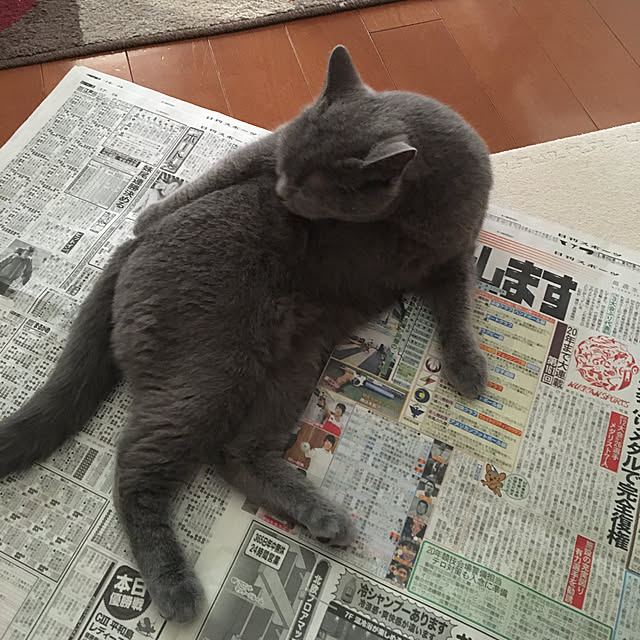 ikettenさんの実例写真