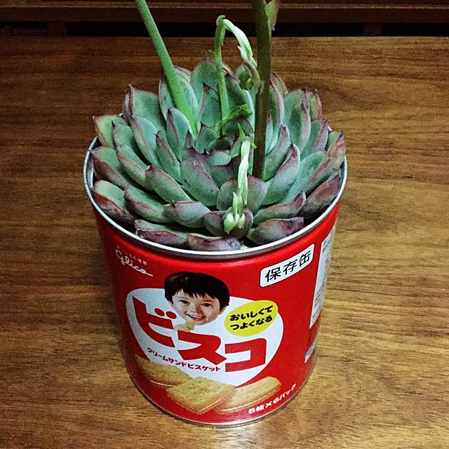 m.k.a.457さんの実例写真