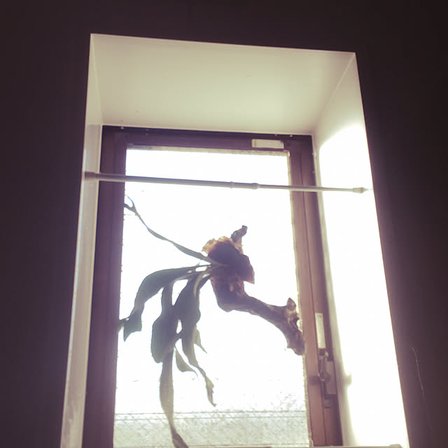 Kamuさんの実例写真