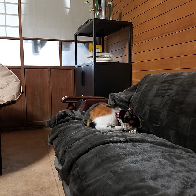 Lucyさんの部屋