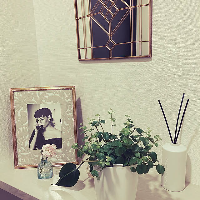 Stellaさんの実例写真
