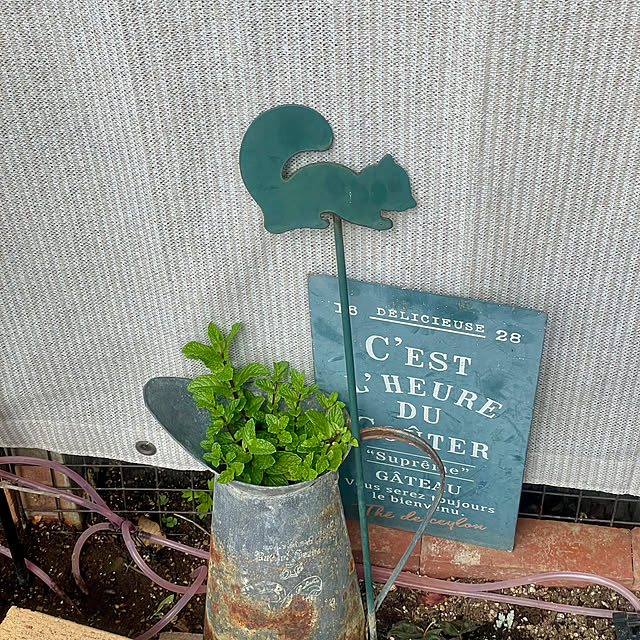 Ma-saさんの部屋