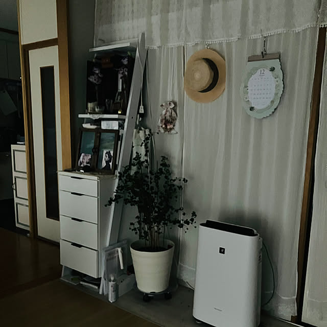 Saraさんの実例写真