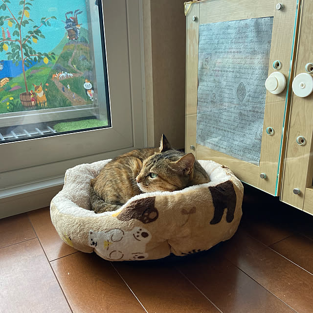 hansho.sさんの実例写真