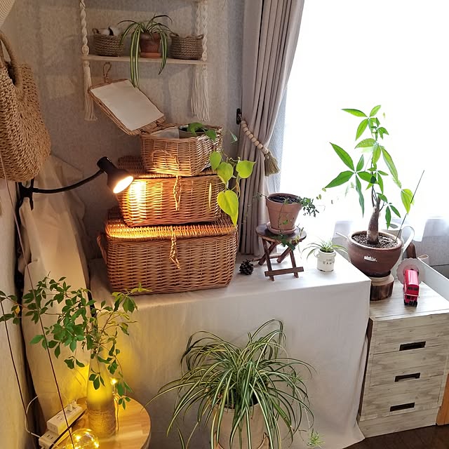 midoriさんの部屋