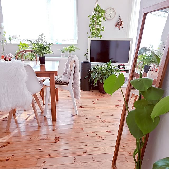 surviveさんの実例写真