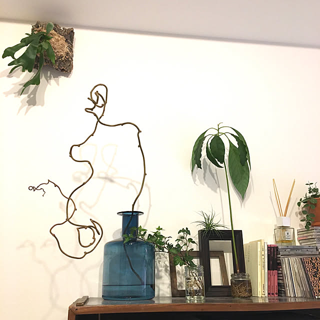 haraさんの実例写真