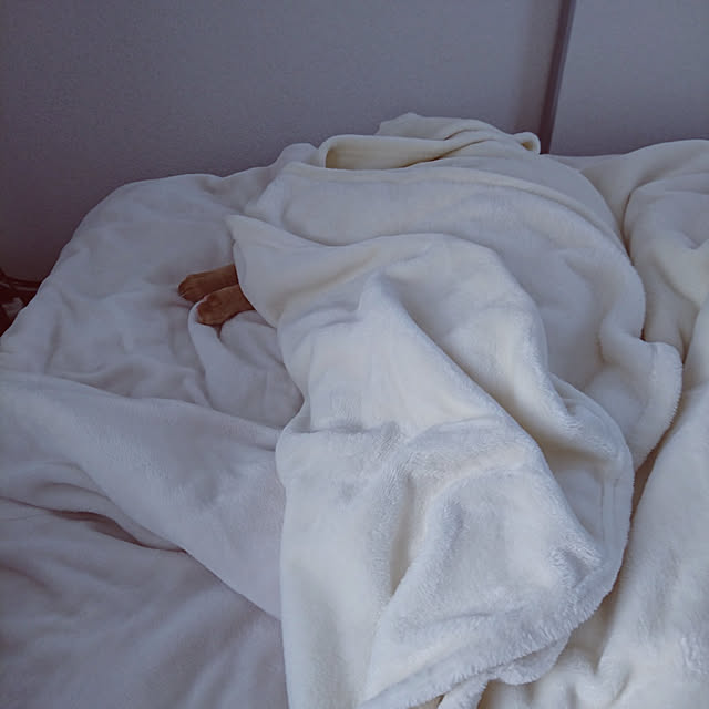 kyoko_aさんの実例写真