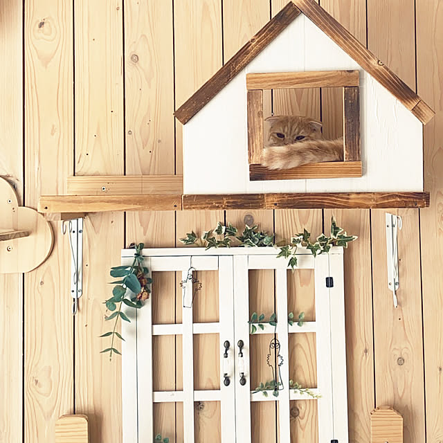 Mikipochiさんの部屋