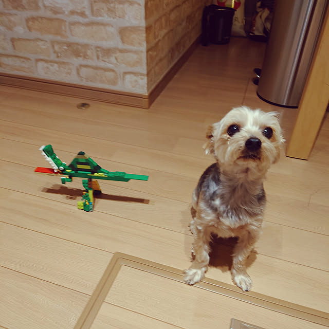 321さんの実例写真