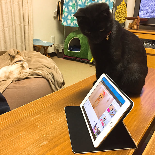 nanaさんの実例写真