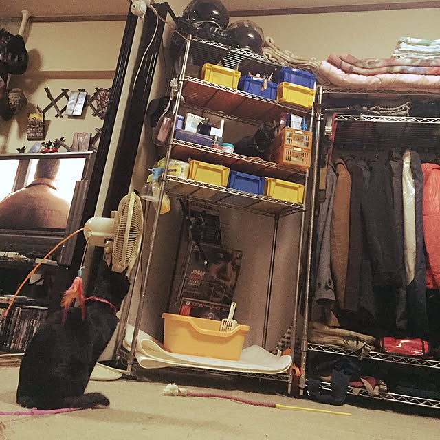 Narumiさんの実例写真
