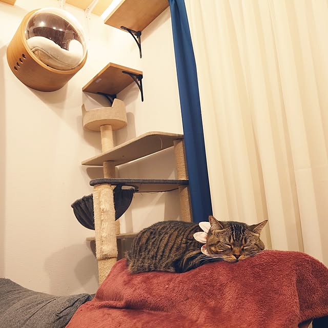 mochicoさんの実例写真