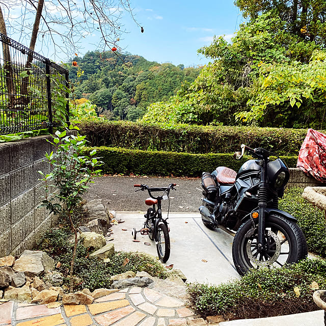 Let-s-DoDoDoさんの実例写真