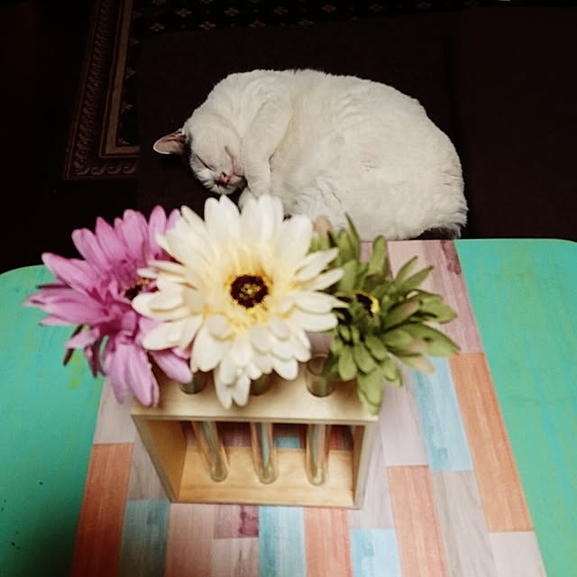 Kaoruさんの実例写真